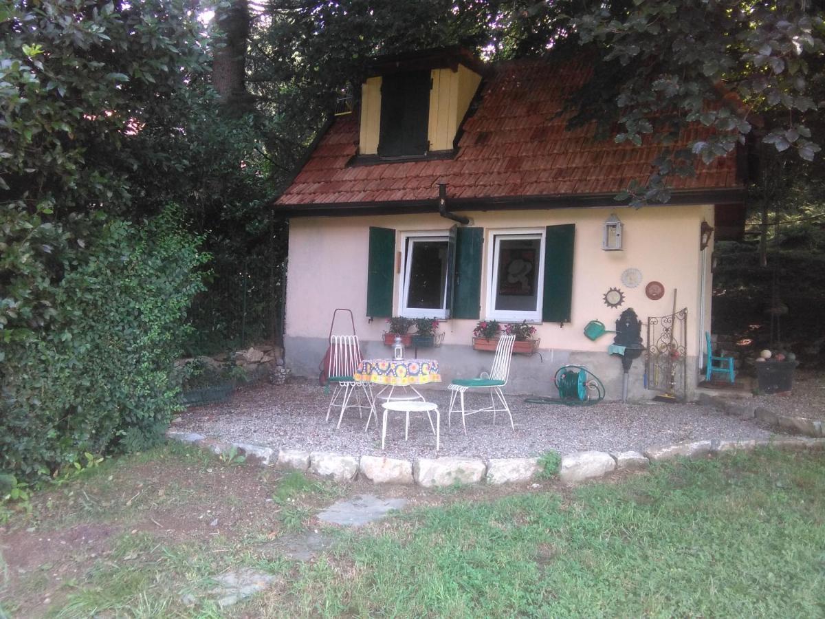 Cottage Sotto Il Faggio Centenario Ameno Exteriér fotografie