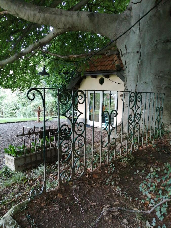 Cottage Sotto Il Faggio Centenario Ameno Exteriér fotografie
