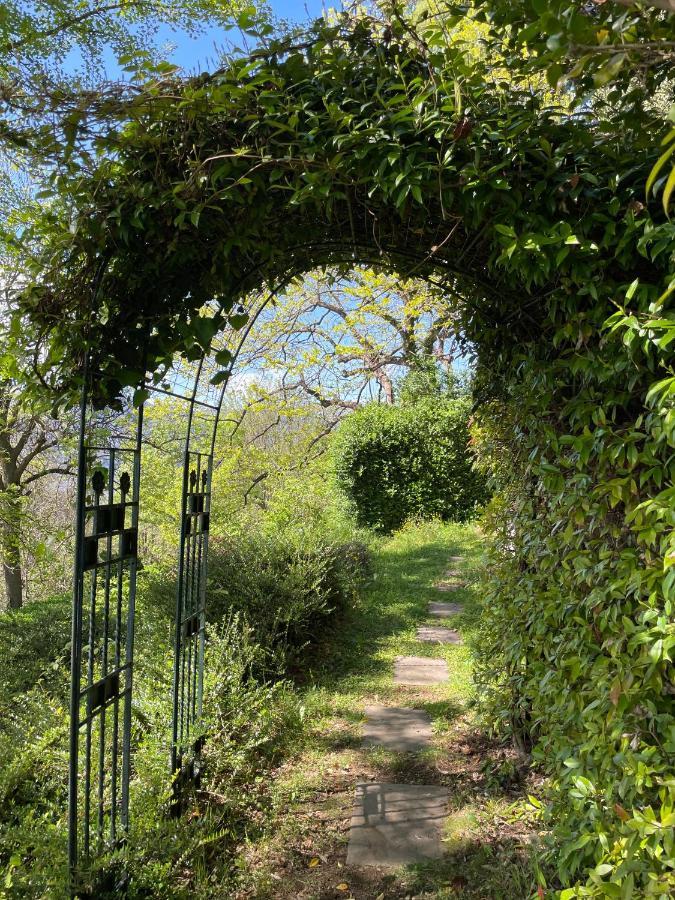 Cottage Sotto Il Faggio Centenario Ameno Exteriér fotografie