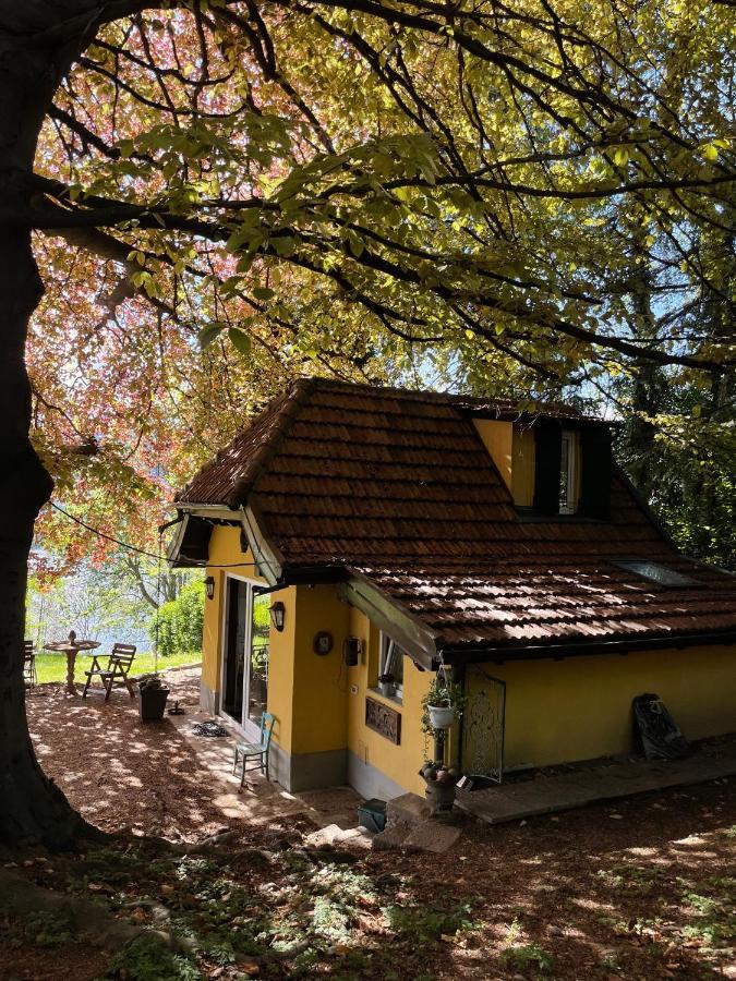 Cottage Sotto Il Faggio Centenario Ameno Exteriér fotografie